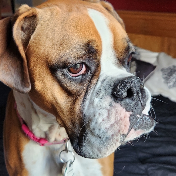 Meet your Posher, Sally - Picture 8 of 10